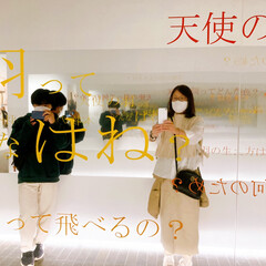 美術館/おでかけ2日め/金沢市/先週のお出かけ/お休みの過ごし方 金沢といえば
21世紀美術館(*´꒳`*…(4枚目)