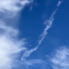 秋のそら/空 ＊青い空　白い雲(*´꒳`*)♡そして🌝…(2枚目)