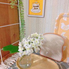 カシワバアジサイ花瓶へ(*´꒳`*)/キッチン/もうすぐ築40年の壁紙💦 おはようございます(*´꒳`*)
キッチ…(1枚目)