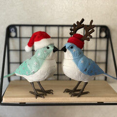 クリスマス/おうち時間/メリークリスマス/我が家のクリスマス2021/ハワイアンジュエリー/3COINS 昨年買ったXmasバージョンの鳥さんを、…(1枚目)