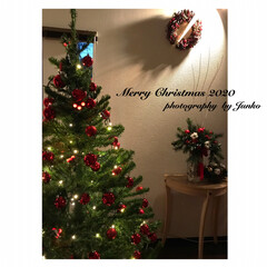 クリスマス雑貨/クリスマス/クリスマスツリー/クリスマスインテリア/リビング/IKEA/... (1枚目)