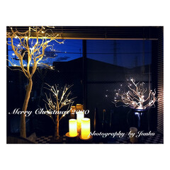 クリスマス雑貨/クリスマス/クリスマスツリー/クリスマスインテリア/リビング/IKEA/... (4枚目)