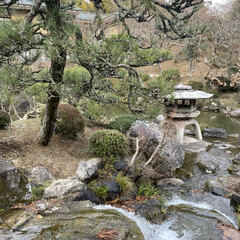 「成田山新勝寺にお詣りに行ってきました。お…」(5枚目)