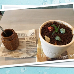 スイーツ 植木鉢スィーツ  美味しかった
コーヒー…(1枚目)