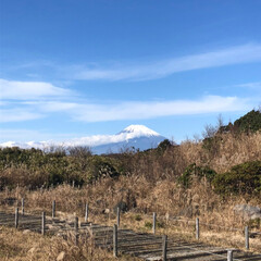 旅行/秋/風景/おでかけ/旅 週末に箱根へ。富士山とススキを堪能して来…(1枚目)