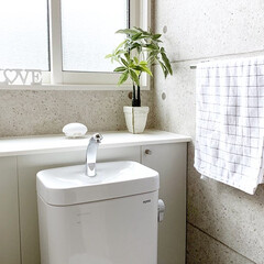 シンプルインテリア/ダイワハウス/モノトーンインテリア/香りのある暮らし/サワデー/芳香剤/... トイレのディフューザーをサワデーの卵形の…