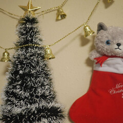 フォロー大歓迎/ペット/猫/にゃんこ同好会/クリスマス/クリスマスツリー ブーティーキトゥンちゃんの靴下の中にはチ…(1枚目)