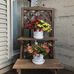 花/玄関/風景/暮らし/住まい/ニトリ 外玄関に花を飾りました。
花台はニトリの…(1枚目)