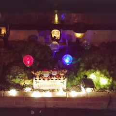 ガーデニング/クリスマス 庭のプチライトアップです。
庭かに光って…(1枚目)