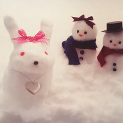 冬/雪だるま 冬、子どもと一緒に作った雪だるまです。(1枚目)