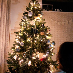 クリスマスツリー/雑貨/ニトリ/暮らし/フォロー大歓迎 ニトリのクリスマスツリー♡

寄りでパチ…(1枚目)