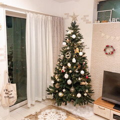 クリスマスツリー/雑貨/住まい/ニトリ/暮らし リビングに置いてある大きなクリスマスツリ…(1枚目)