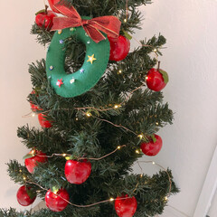 リース/フェルトリース/おうち/2018/フォロー大歓迎/クリスマス/... 我が家のミニクリスマスツリー♪

真ん中…(1枚目)