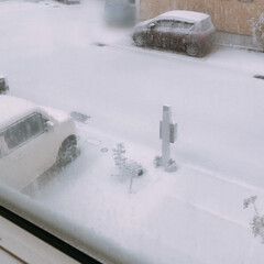 雪景色/雪/フォロー大歓迎/風景/住まい 今朝は雪と雷が凄くて朝からビックリする天…(1枚目)
