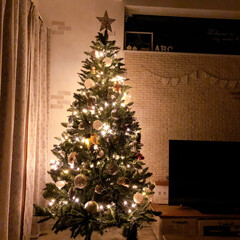 クリスマスツリー/雑貨/ニトリ/暮らし/フォロー大歓迎 ニトリのクリスマスツリーライトアップを寄…(1枚目)