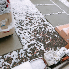 駐車場/雪/フォロー大歓迎/風景/住まい 今朝の雪＊*

ぼたぼたと雨混じりの雪が…(1枚目)