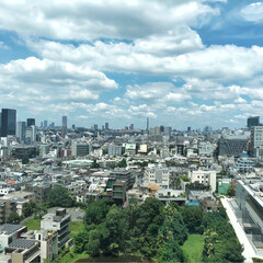 青空/景色/渋谷/LIMIAスタッフ/LIMIA/オフィス/... 今日はLIMIAのオフィスをご紹介します…(3枚目)
