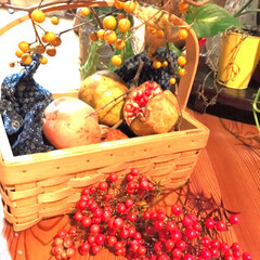 紅茶豚/鮭の粕汁/木ノ実/ザクロ/秋/おうちごはん 庭のザクロの木に実がなっていたので、採っ…