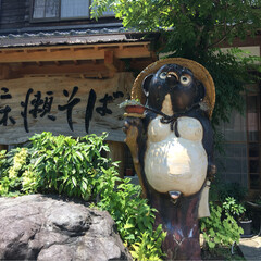 海/ワンコと一緒に1泊2日/ペット/おでかけ 夏旅行に行きました。兵庫県竹野です！朝早…(1枚目)