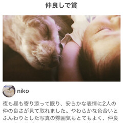 仲良し/大切/寝顔/家族/ありがとうございます/ペット/... この度✨
ペットの写真フォトコンテスト
…