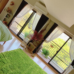 寝室コーデ/ベッドルーム/寝室インテリア/寝室の窓/窓から見える景色/寝室/... 寝室に向かう廊下から、山の緑がハッとする…(3枚目)