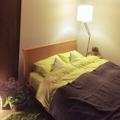 寝室/インテリア/雑貨/家具/イケア/住まい IKEAでフロアランプを購入❤️
ちょっ…(1枚目)