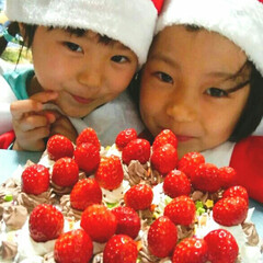 クリスマスケーキ/フード 姉妹で初めてケーキの飾り付け(1枚目)