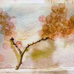 桜 イラストのフォトまとめ Limia リミア
