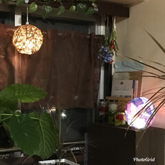 DIY/雑貨/100均 孫が作ったランプシェードと私が作った麻紐…(1枚目)