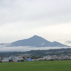 宝の山/会津磐梯山 今日の磐梯山
雲に包まれてる。💦
今年は…(1枚目)