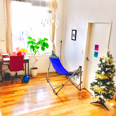 クリスマスツリー/おでかけ/旅行/グルメ/フード/インテリア/... クリスマスツリーを
飾りました🎄✨
7歳…