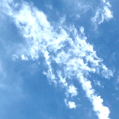 「関東 今の空
雲の 合間に 青空が！
ど…」(1枚目)