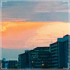 夕焼け/ベランダから見た夕陽 今日の 夕焼け
暗い雲の中に 今日は、北…(1枚目)