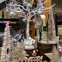 クリスマス/クリスマスツリー/雑貨 大好きな雑貨屋さん😘
可愛い物がいっぱい…(2枚目)