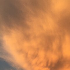 夕焼け/雲 ラピュタに出てくる 龍の巣🐉のような雲
…(2枚目)