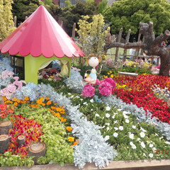 令和の一枚/おでかけ/風景/わたしのGW 山下公園の素敵な花壇✨✨春をめいっぱい感…(1枚目)