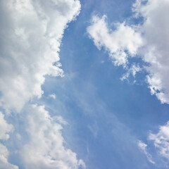青空/雲/スプリングクリーニング/お片付け おはようございます。
気持ちの良いお天気…(1枚目)