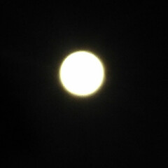 お月さま コンバンハ～(≧∇≦)
お月様綺麗だよー…(1枚目)