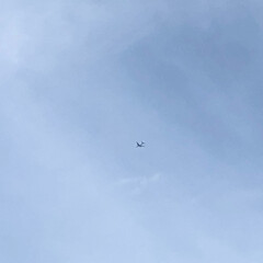 飛行機/空/おでかけ 写っているのは飛行機です✈️
裸眼で見る…(1枚目)