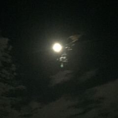 月 深夜…バイトから帰って空を見上げると
綺…(2枚目)