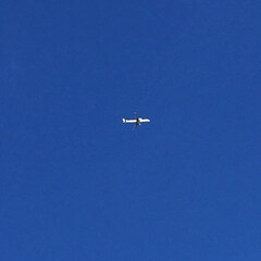 飛行機✈️/景色/空 今日も、綺麗な青空です❣️
飛行機が…
…(1枚目)