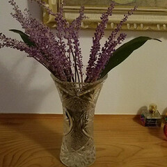 お花/住まい/紫の花 可愛い紫のお花を買いましたが、
名前がわ…(3枚目)