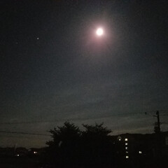 星/月/十六夜/月夜/夜空 お月さんとお星様が、とっても綺麗でした:…(3枚目)