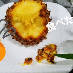 フルーツ/スナックパイン/パイナップル/おうちごはん/暮らし/デザート/... 私の大好きなスナップ🍍😆💕
これ手でちぎ…