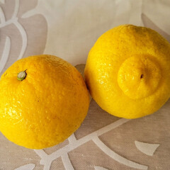 みかん/はるか/フルーツ 私は、🍊はるかと言います😌
🍊はるみで…