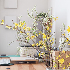 春の一枚/インテリアグリーン/お花/花/花のある生活 わが家に飾ったお花を別角度から。
ワーク…(1枚目)