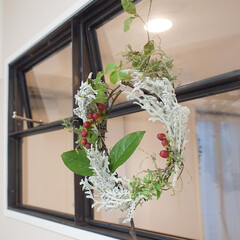 クリスマス/DIY/観葉植物/インテリアグリーン/クリスマスリース/手作り ドライになりかけたドウダンツツジの枝とシ…(1枚目)