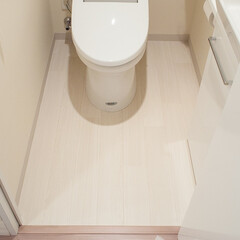 DIY/トイレ/クッションフロア/インテリア/シンプル トイレの床に白木風のクッションフロア貼り…(1枚目)