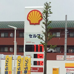 立体マスク/自粛/種まき/雑貨/リビングあるある ガソリンが、めちゃ安くなった。楽しいはず…