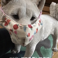 オススメの本/マスク/自粛生活どうしてますか?/雑貨 皆さん、しっかり感染予防対策してますか?…